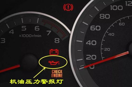 汽车总共多少种灯